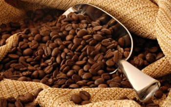 Requisitos para Exportar en Costa Rica café
