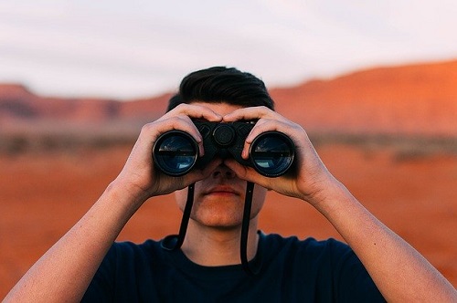 Observador