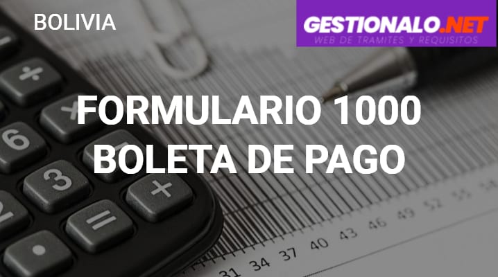 Formulario 1000 Boleta de Pago